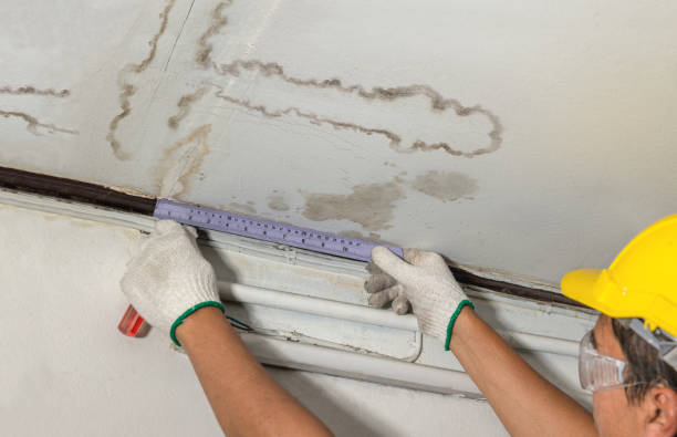 Reliable Mold Remediation contractor in Gray, ME by Water Damage Irwin